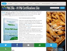 Tablet Screenshot of pmzilla.com